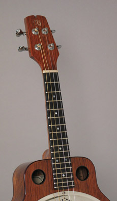 Photo of the upper half of Mandonator 10 showing soundholes and headstock
