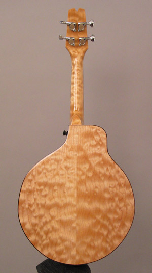 Photo of the back and neck of Mandonator 17
