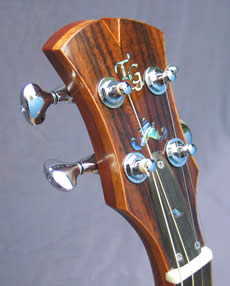 Headstock of Mandonator 3