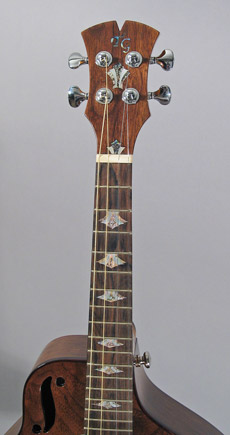 Mandonator 4 fingerboard and headstock with inlays
