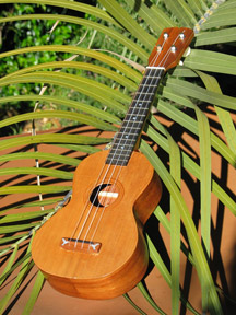 Front view of ukulele number 1